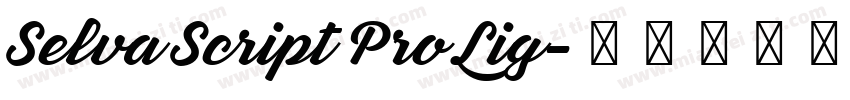 Selva Script Pro Lig字体转换